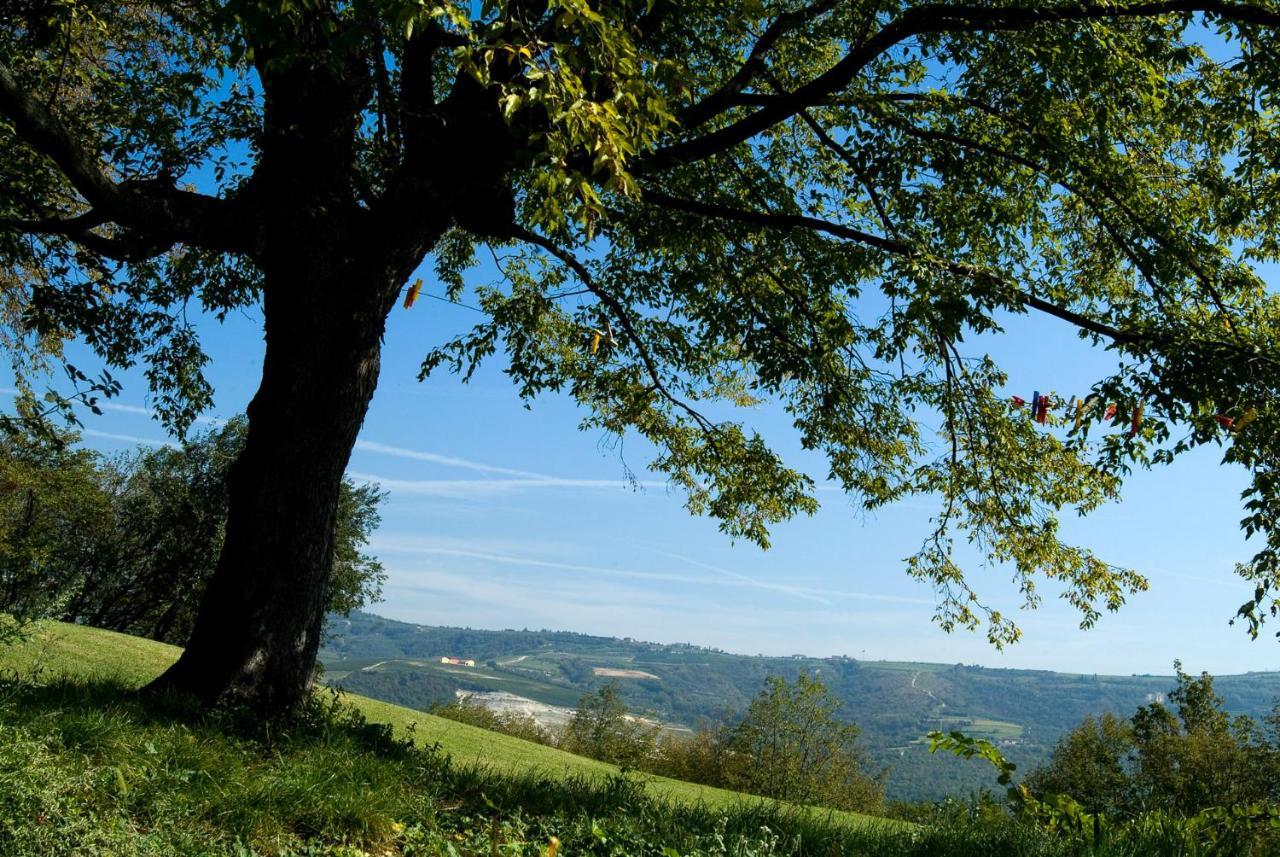 Tenuta Delo Relais Verona Exteriér fotografie